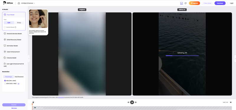 Hitpaw Ai Online Video Face Model