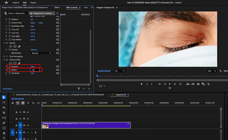 Premiere Pro Amount