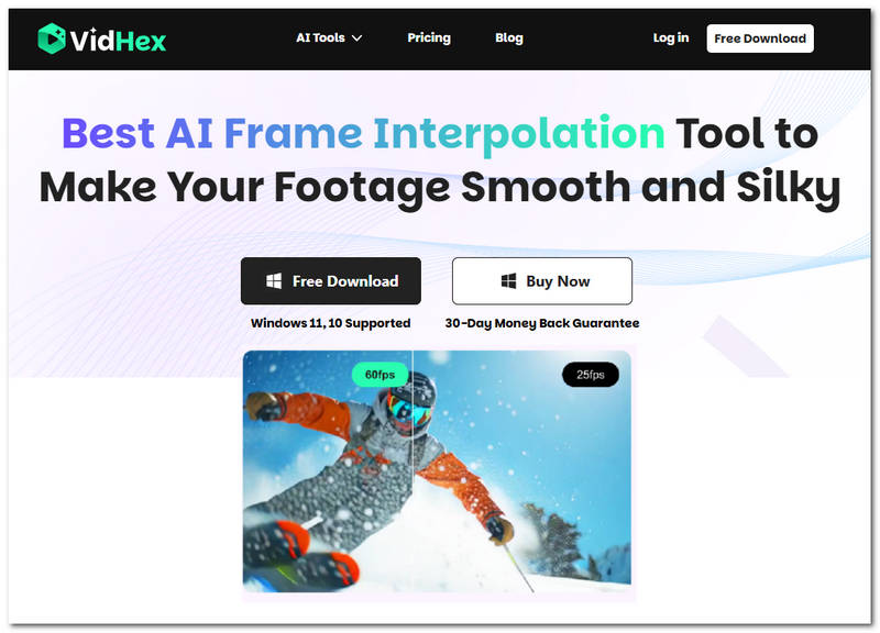 Vidhex Frame Interpolationr