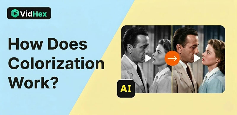 How Does Colorization Work