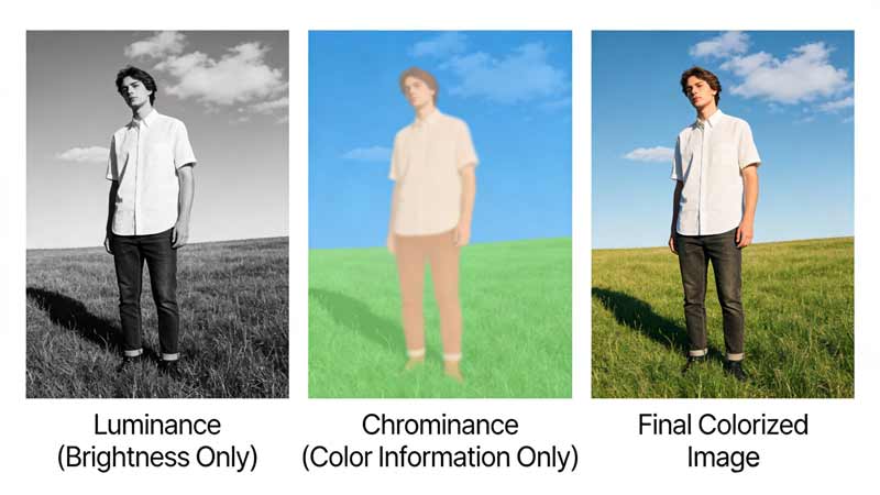 Luminance And Chrominace