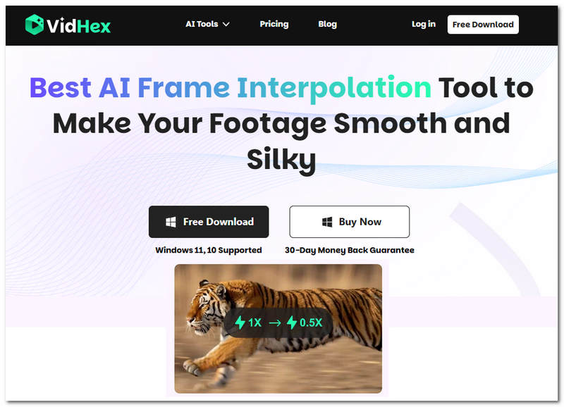vidhex-frame-interpolation