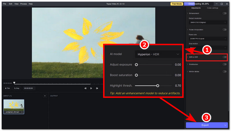 Select Ai Model Then Export