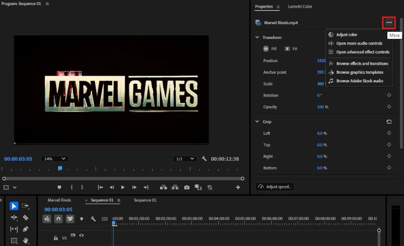 Premiere Pro Adjustments