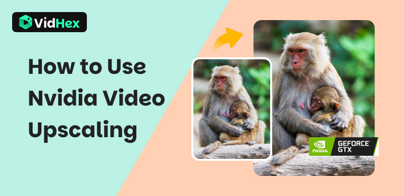 How To Use Nvidia Video Upscaling