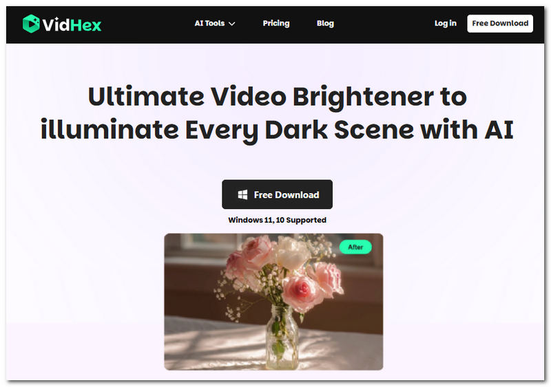 vidhex-video-brightener