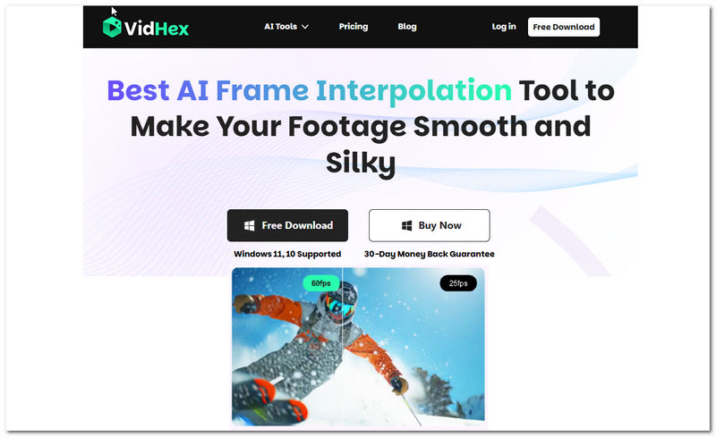 Vidhex Frame Interpolation