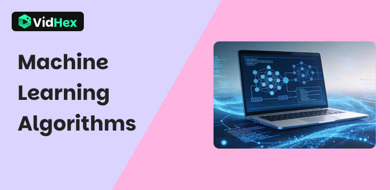 Machine Learning Algorithms