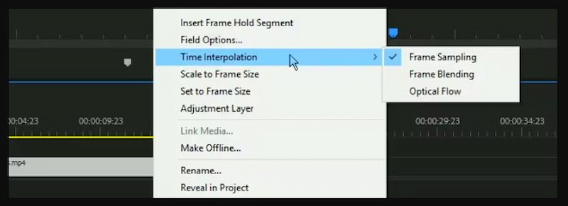 Adobe Premiere Pro Motion Interpolation Software