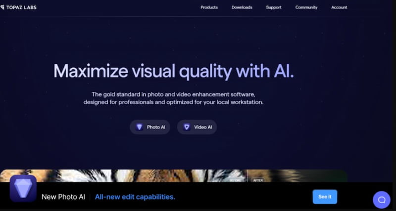 Topaz Motion Interpolation Software