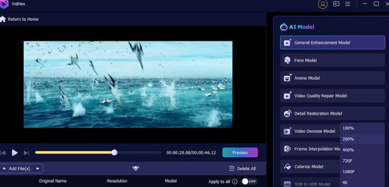 Vidhex Frame Interpolation
