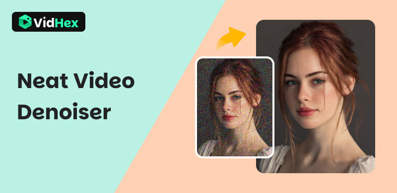 Neat Video Denoiser