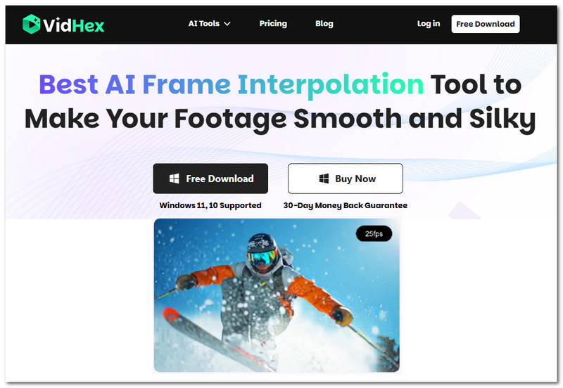 Vidhex Frame Interpolation