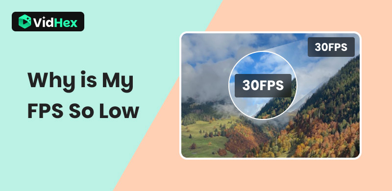 Why Is My FPS So Low