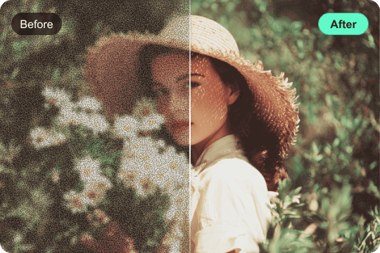 Grainy & Noise Footage