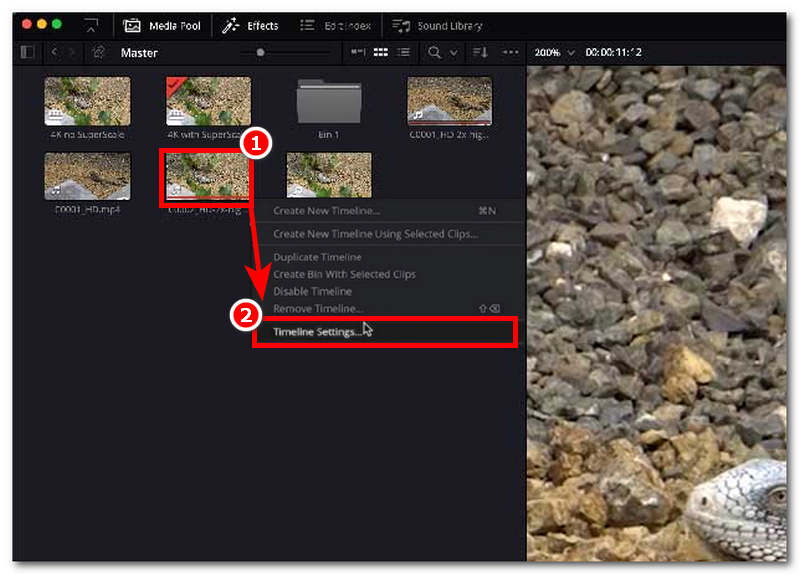 Access Timeline Setting