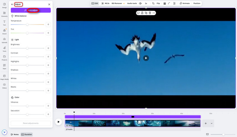 Canva Adjust Setting