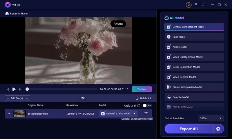 Choose Vidhex ZI Model
