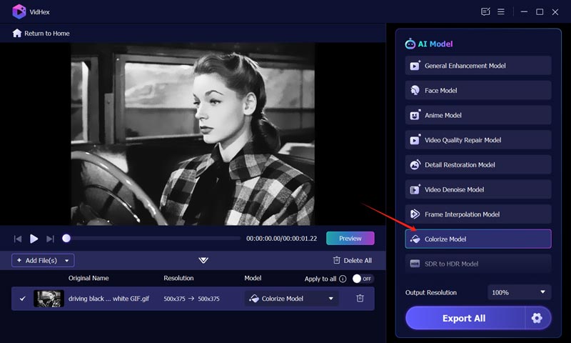 Colorize Model Vidhex Ai