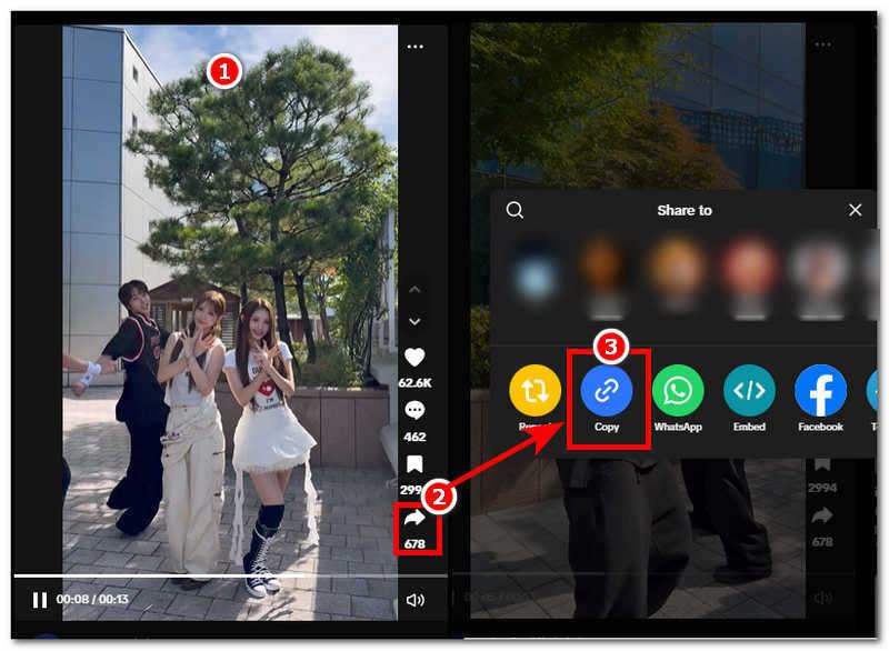 Copy Video Link
