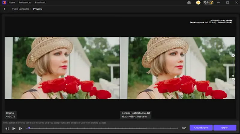 Hitpaw Enhancer Preview Export