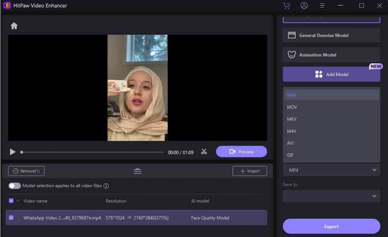 Hitpaw Video Enhancer Format