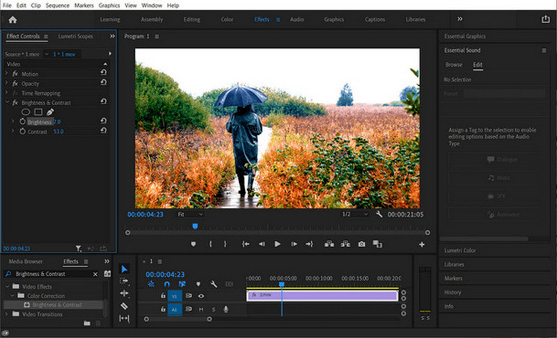 How to Brighten Dark Videos Premiere