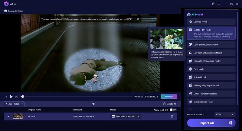 Sdr To Hdr Ai Model Vidhex