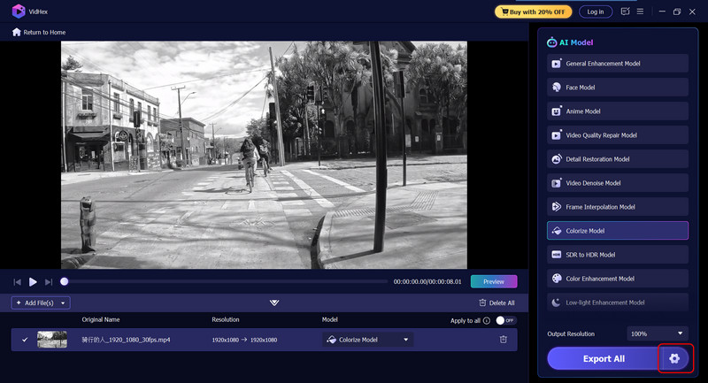 Vidhex Export Colorized Result