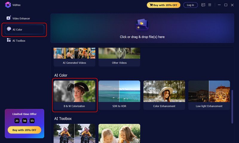 Vidhex Find Colorization Model