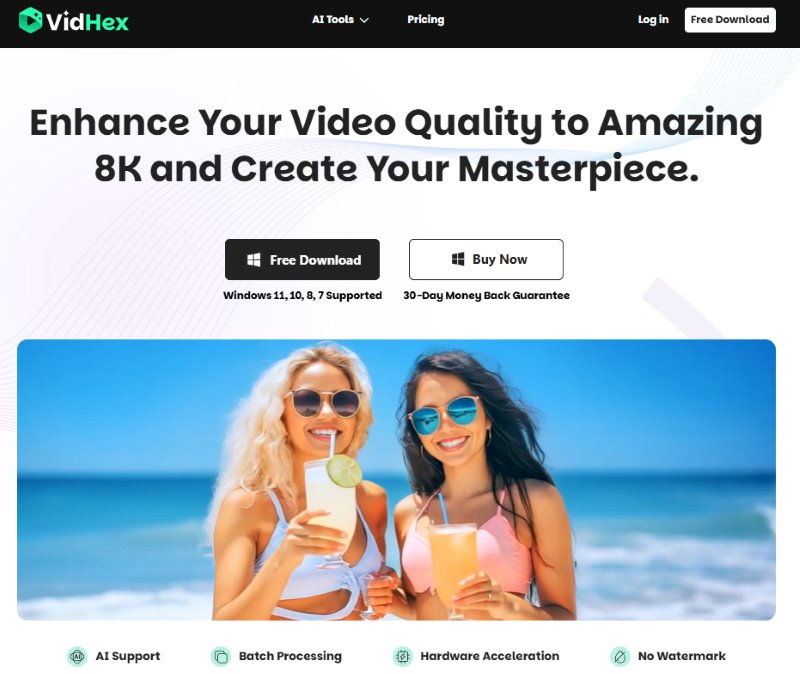 Vidhex Video Enhancer